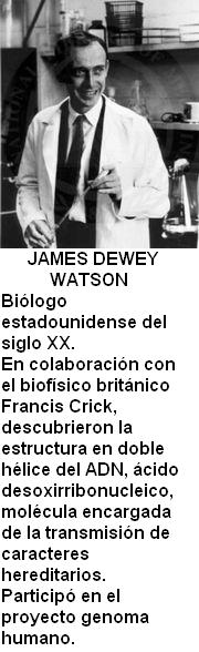 James Dewey Watson.jpg